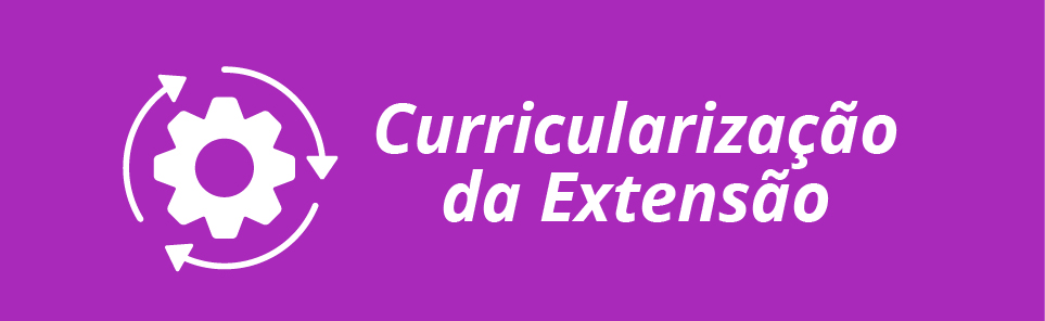 Curricularização